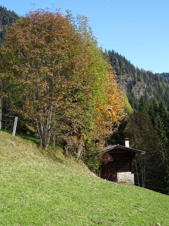 Anna'S Appartement Alpbach Exteriör bild