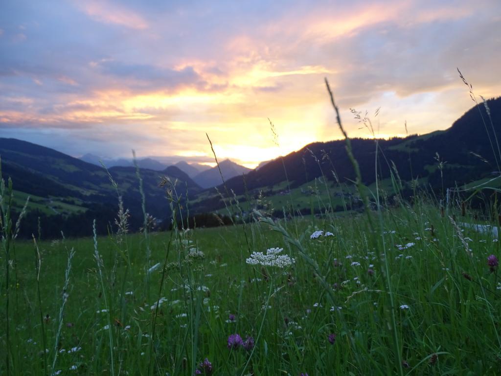 Anna'S Appartement Alpbach Exteriör bild