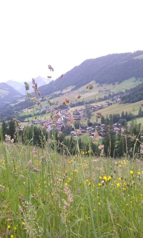 Anna'S Appartement Alpbach Exteriör bild